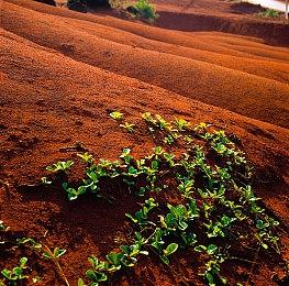 粉丝自制《古墓丽影：黑暗天使》劳拉新3D模型