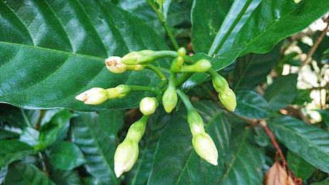 每日电讯报：新版詹姆斯邦德小说删除种族主义内容